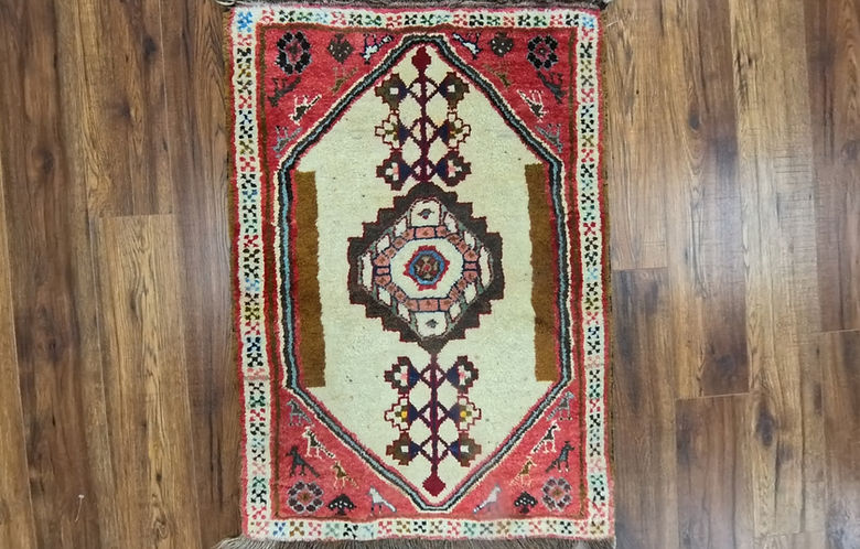 2.4 x 3.4 ft Hand Knotted Shiraz Rug