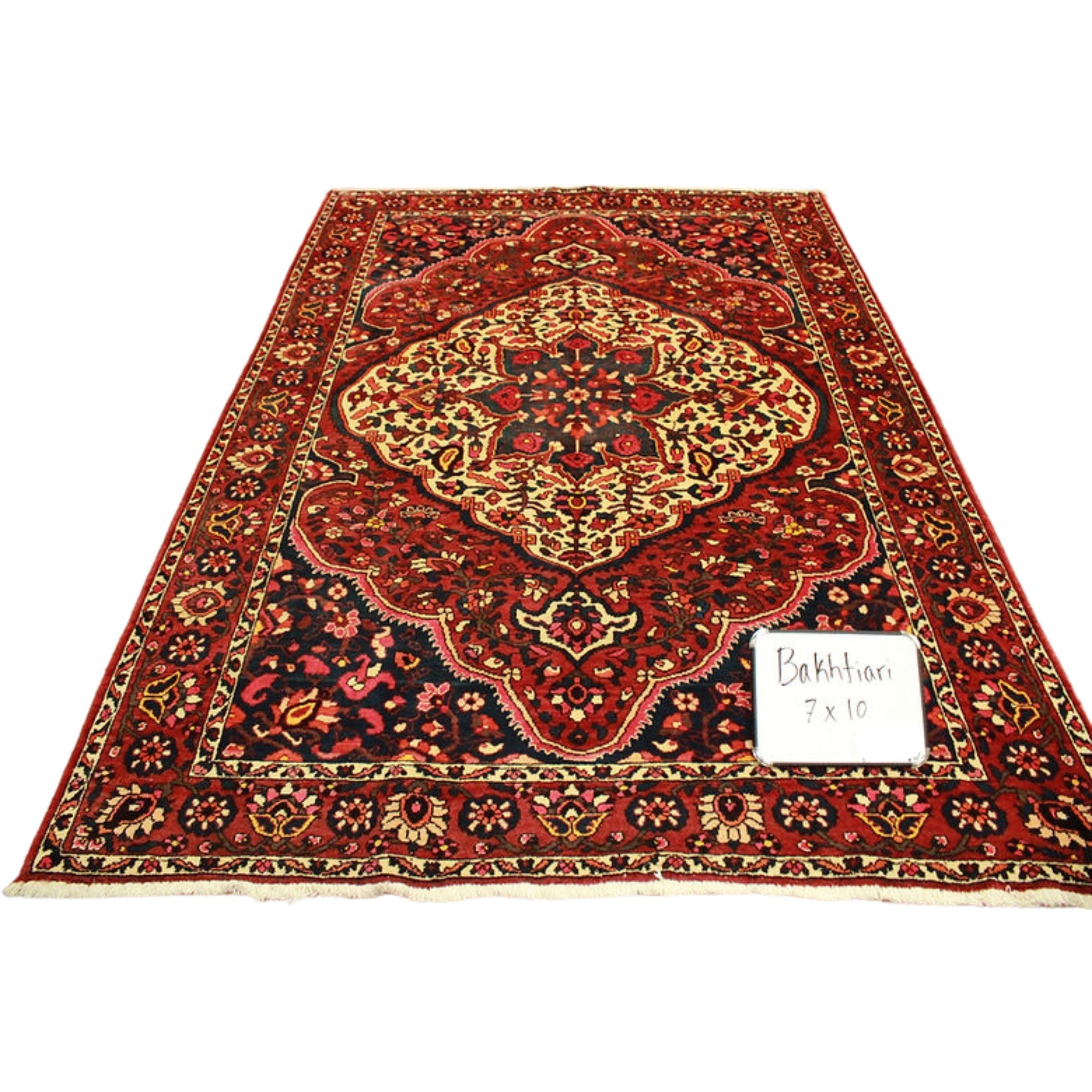 7 x 10 ft Hand Knotted Old Persian Bakhtiari Rug