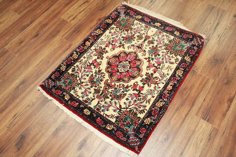 2.7 x 3.2 ft Hand Knotted Persian Bidjar Rug