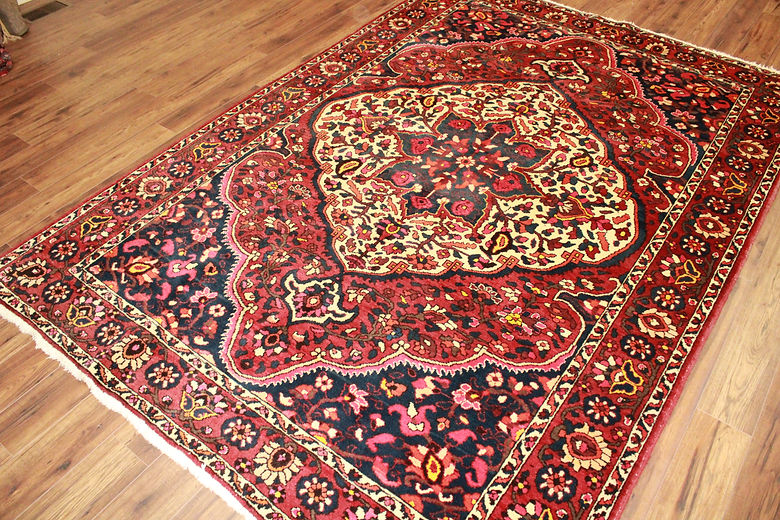 7 x 10 ft Hand Knotted Old Persian Bakhtiari Rug