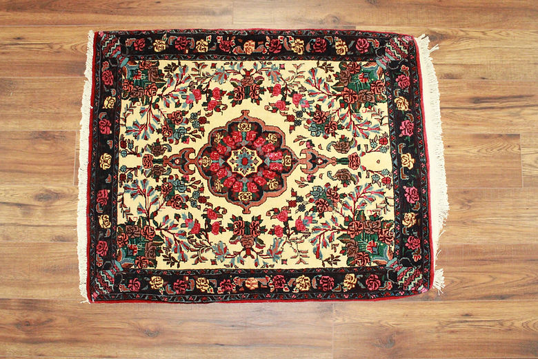 2.7 x 3.2 ft Hand Knotted Persian Bidjar Rug