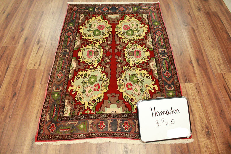 3.5 x 5 ft Hand Knotted Persian Hamadan Rug
