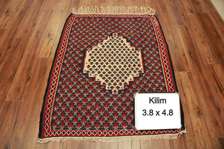 3.8 x 4.8 ft Hand Knotted Persian Kilim Rug